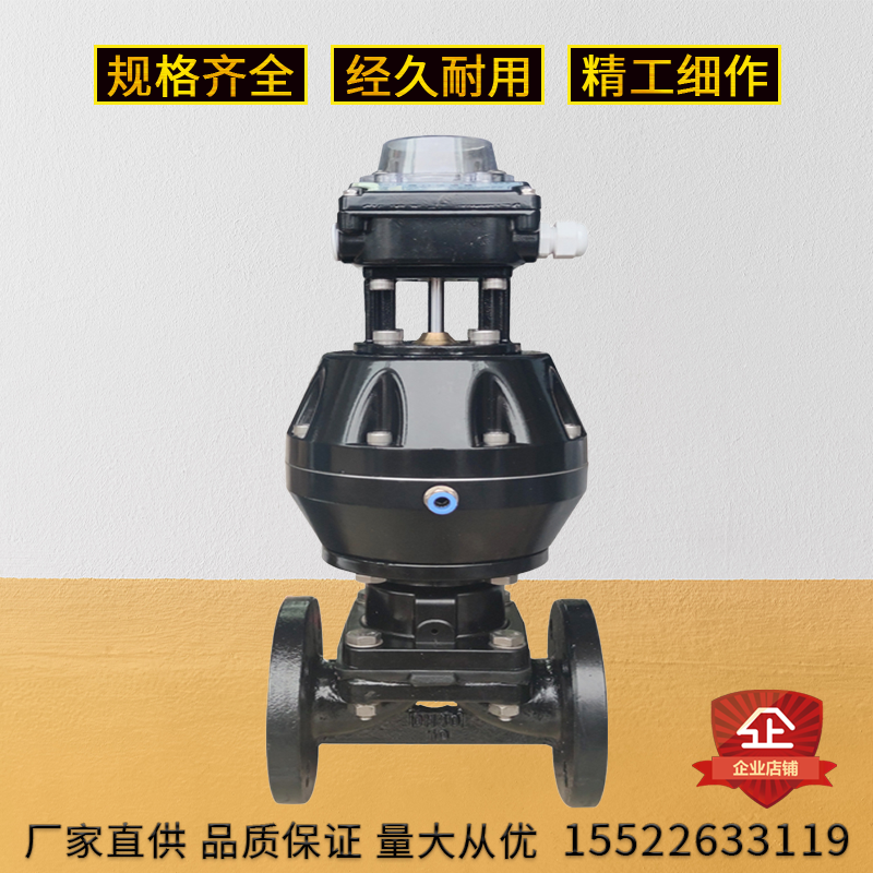 天津精通仪表A-ES54~58-T10/16双动型气动隔膜阀